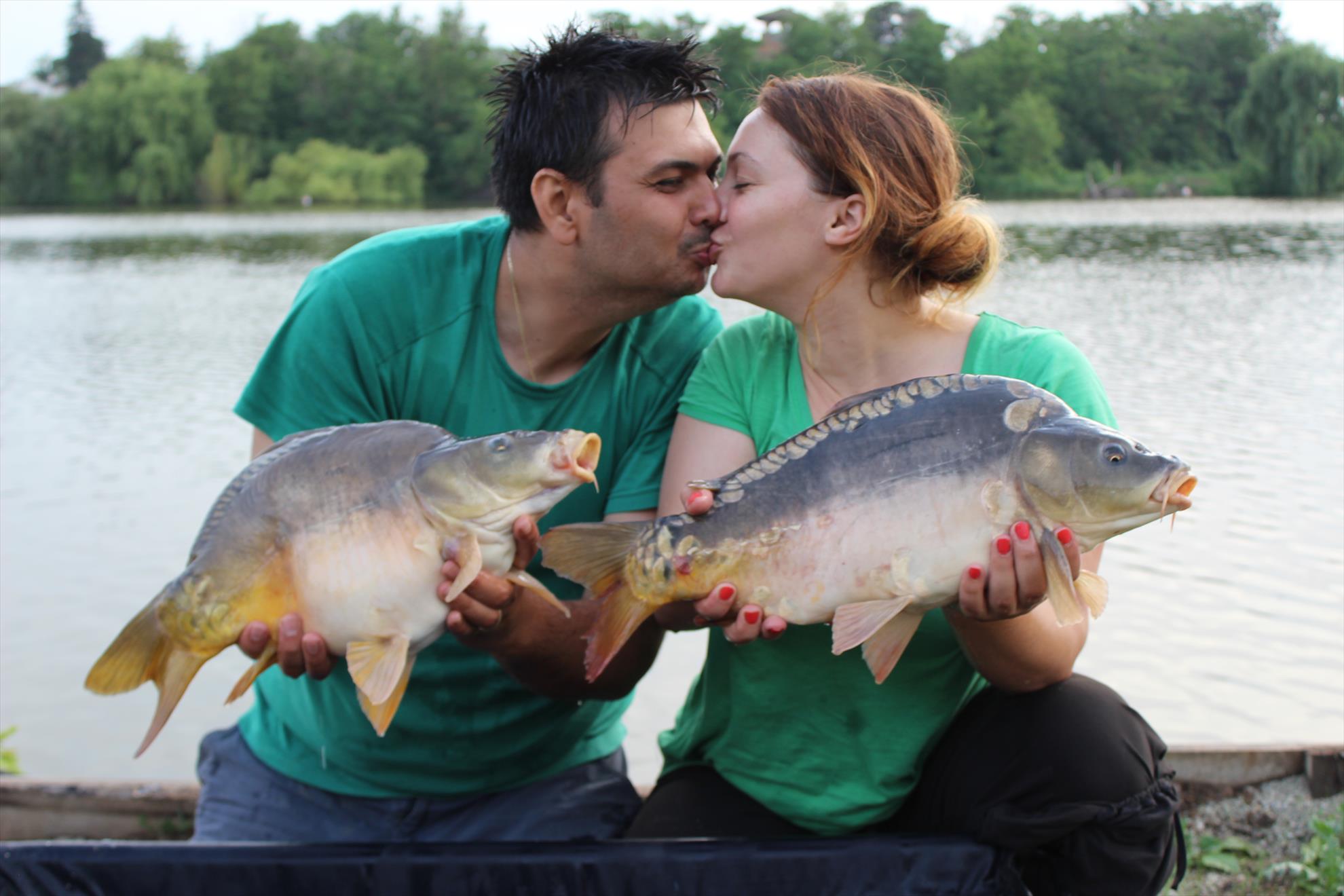 Hermes Peris 7 - 8 iunie 2014